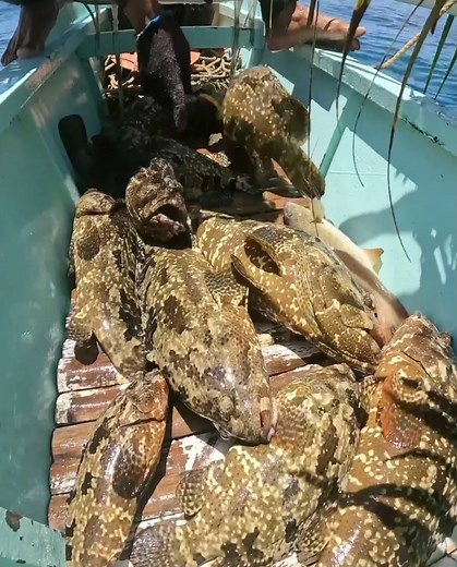 2.7M views · 50K reactions | Kumita Ng 13,260 Ang Isang Trap _ Catch _ Sell | AmazingSea Vlog | Facebook