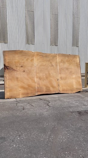 Looking for a live edge slab with a perfect blend of beauty and significance? Take a look at our Lebanese Cedar slabs that will bring a touch of history and elegance to your space. | GL Veneer, Inc.