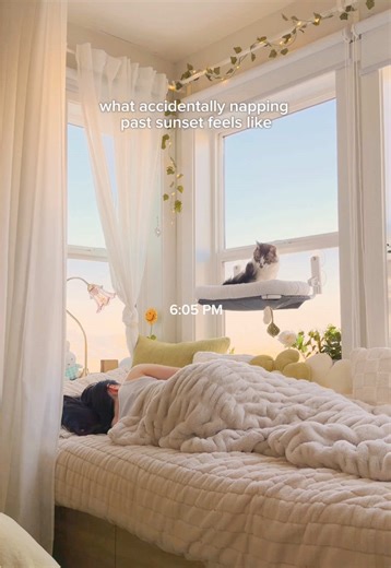 Cozy Apartment Sunset Naps: 7 PM Vibes