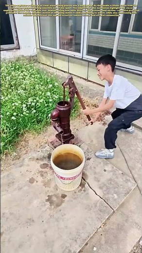 Hand Pump Magic: How This Simple Device Brings Water to Life