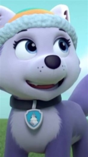 Mighty Pups Adventures with Paw Patrol Characters