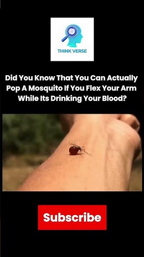 Flex Your Arm and the Mosquito Explodes? Real Science Explained #scienceexplained #facts