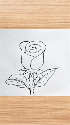 How to draw rose drawing easy step by step