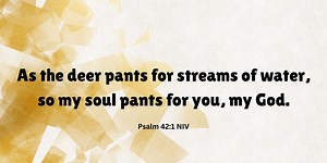 Devotional 1: Psalm 42