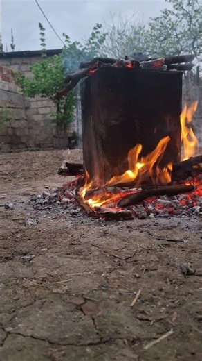 🔥 I Cooked a Whole Chicken Over Wood Fire in a Giant Metal Oil Can! 🍗🔥 | Outdoor Cooking Adventure 😍