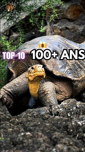 TOP 10 des animaux les PLUS LONGÉVIFS 😱 | Certains vivent +200 ans ! (Partie 1)
