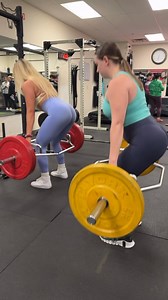 Trap Bars vs Barbells What do you prefer? Sound On 🔉 #Deadlifts #NoBullTraining | No Bull Training