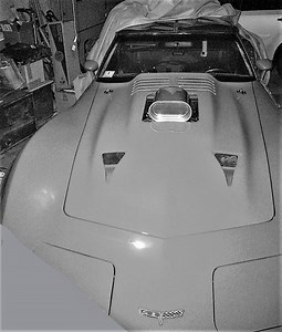 Cost to prep & paint two c3 t-tops ? - CorvetteForum - Chevrolet Corvette Forum Discussion