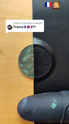 French Coin Cleaning Techniques Unveiled