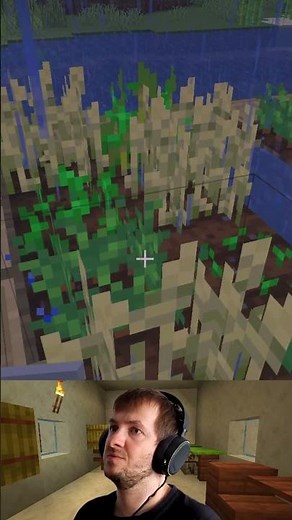 This village has 4 farms