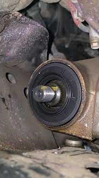front wheel differential oil seal leakage #automobile