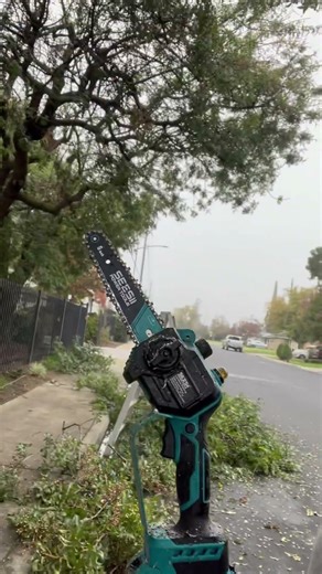 Battery pole saw review #gardening #tree #lawncare