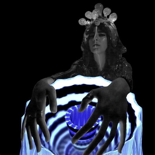 visionary feedback loops