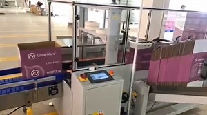 [Hot Item] Automatic Carton Packing Machine Line