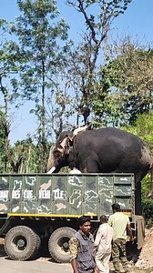 #Karnataka | wildlifehassan