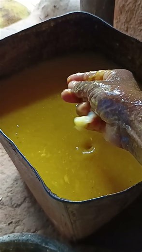 mango wine making process #villageculture #villagelife #mangowine #mango #shorts