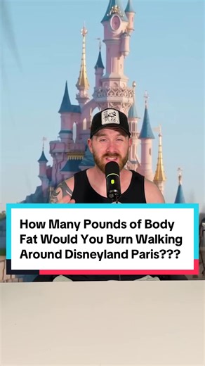 This would be a loop around the ENTIRE property not just the park! #disneylandparis