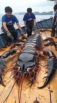 Top 10 Creepiest Deep Sea Creatures 😱
