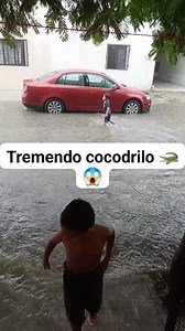 95K views · 648 reactions | Maria Garcia Sanchez on Reels | Facebook