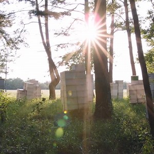 24K views · 125 reactions | Is our honey really local? You betcha....