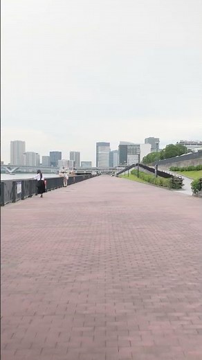 Cinematic overcast view of the Tokyo skyline from Toyosu #tokyotravel #visitjapan #4k60fps