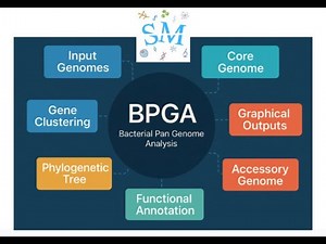 Lecture 20 | Pan-Genome Analysis Using BPGA | Comparative Genomics Beginners | ‪@SciChatMindset‬