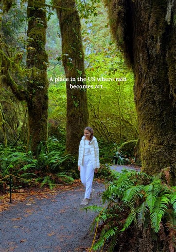 Exploring the Enchanting Hoh Rain Forest: A Must-Visit Destination