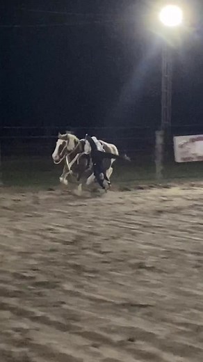 Megan Miller on TikTok