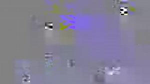 72K views · 1.6K reactions | Despite its massive size, Gigantamax...