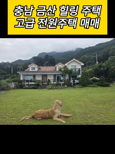 충남 금산 고급 전원주택 매매