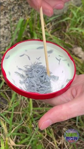 ¡Soluciona fugas en tuberías en segundos con este truco ingenioso! 💧🛠️