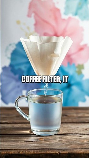 Exploring Chromatography with Coffee Filters