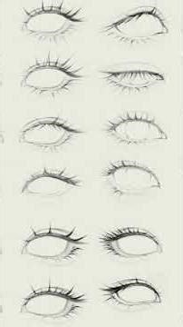 what sizes is eyes everybody