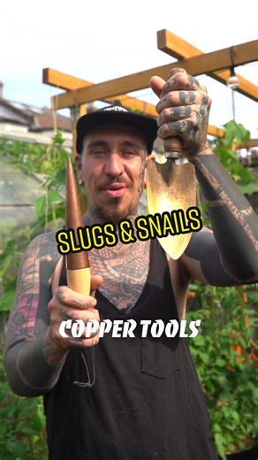 Natural Slug & Snail Repellent Methods for Your Garden