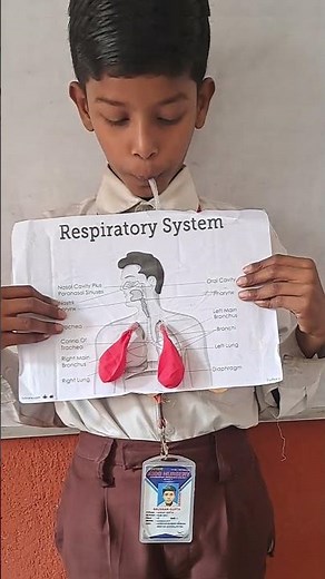 Respiratory system model | class 4 th | NCERT | C.B.S.E.