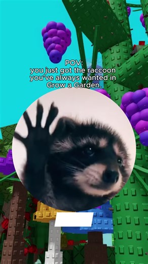 Looking for Grow A Garden Pet? Check Itemku now