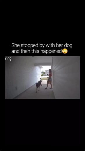 CATS || KITTY || MEMES😸 on Instagram: "What happened at the end is crazy! 😳 Since 2013, Ring has been on a mission to make neighborhoods safer - and this is Ring's new commercial for The Big Game, introducing Search Party. When a dog goes missing, it's more than just a moment of worry. Search Party turns nearby Ring neighbors into a shared search team, helping lost dogs get home faster through the Ring App using real community support and Al working behind the scenes. The old way meant printin