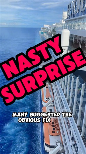Cruise Passenger HORRIFIED By Cabin Surprise!