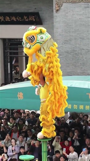 Incredible Upside-Down Golden Hook & Lion Dance Show by Da Ao Duo