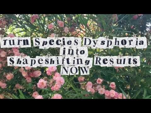 Turn Species Dysphoria into Shapeshifting Results NOW