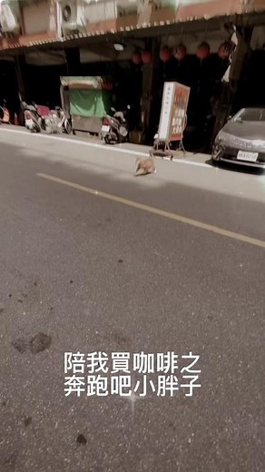 日常暖男 陪買咖啡 #日常 #尼布日常 #全家就是你家 #巨蟹暖男