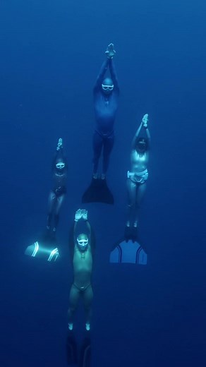molchanovsfreediving on TikTok