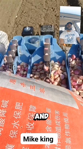 Planting 1000 garlic per minute is impressive 朗 #garlic #farming #agriculture #farmmachines #farmlife | Mike King | Facebook