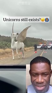 Unicorn spotted in my neighborhood 😲 | Peculiar Nation