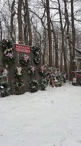 Hennings Christmas Tree Farm on Reels