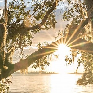 192 reactions · 34 shares | New Lightroom® Class! Photographer Matt Kloskowski shares techniques to add sun, flare and light to your scenes, so you can take a flat image and make it shine. | CreativeLive | Facebook