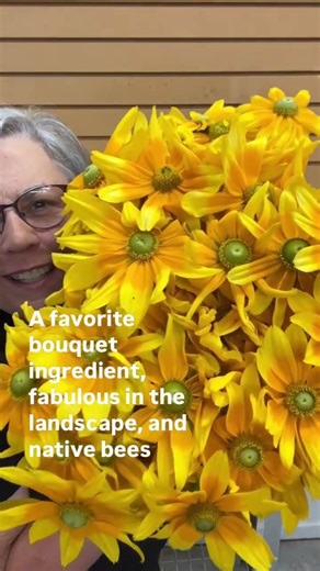 I grow at 8 or 9 different rudbeckias each year