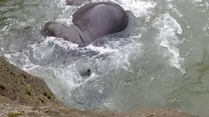 54K views · 3.9K reactions | The enrichment we do here for our...