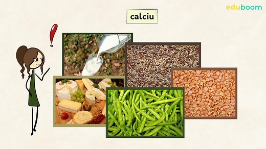 Corpul omenesc. Scheletul. Matematica clasa a 1-a