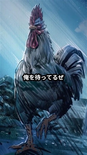 【2026春アニメ】「女を泣かせたまま去るのは俺の主義じゃねぇ」 #ニワトリ・ファイター